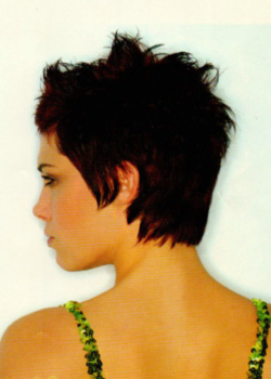 Woman's Hairstyle for George's Salon